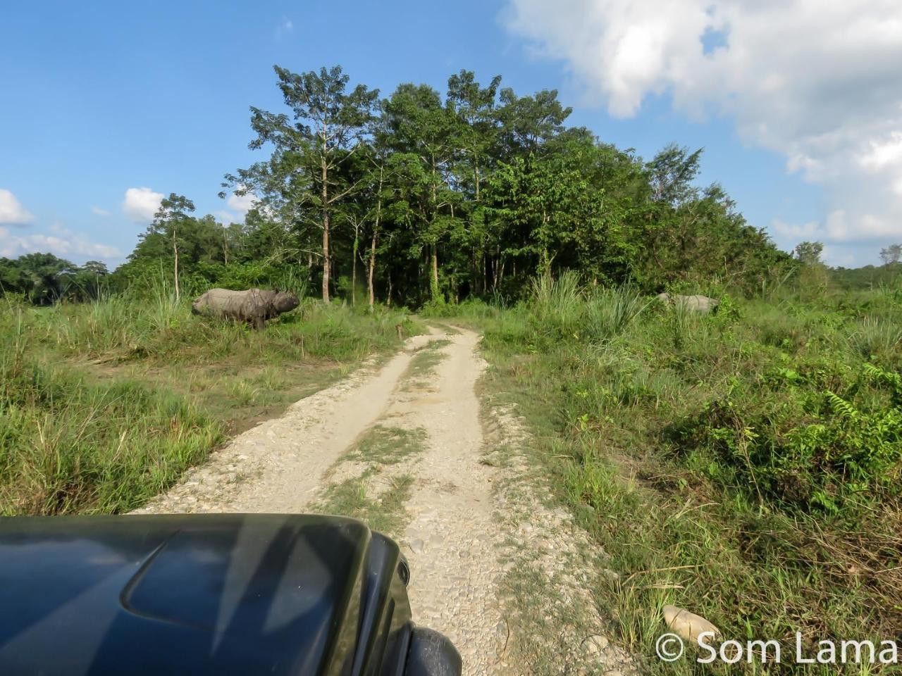 Eden Jungle Resort Саураха Екстер'єр фото