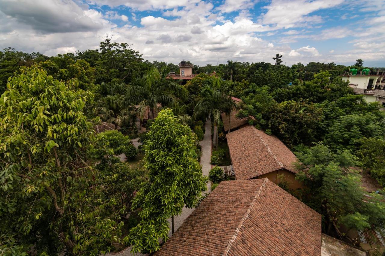 Eden Jungle Resort Саураха Екстер'єр фото